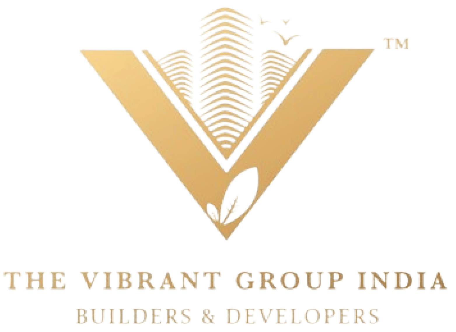 The Vibrant Group logo