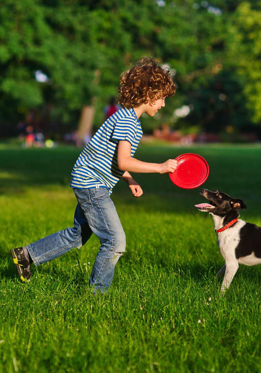 Pet park at Birla Niyaara, Worli