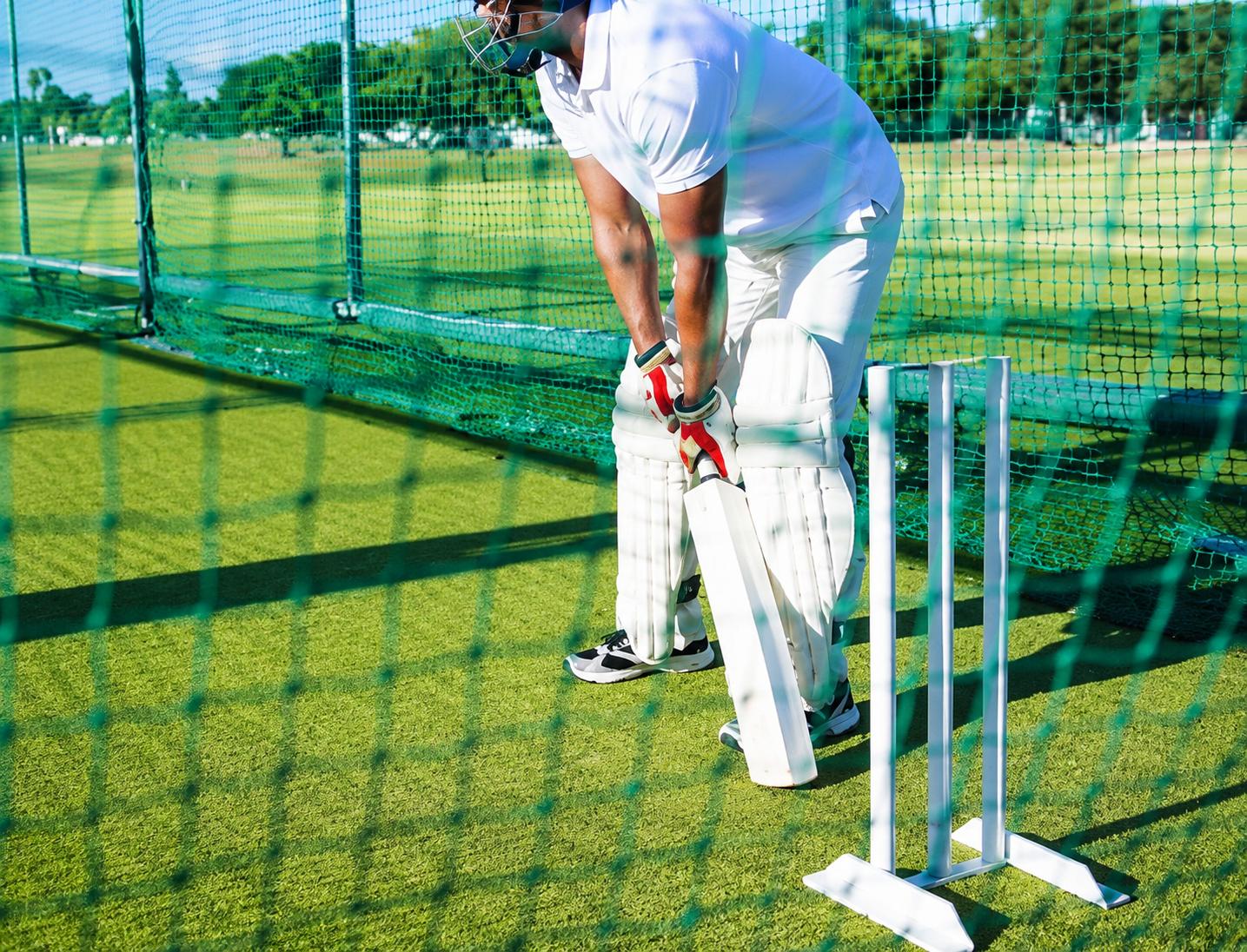 Cricket pitch at S3 Skygreens, Mira Road East