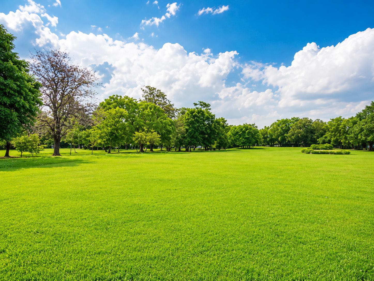 Landscaped gardens at S3 Skygreens, Mira Road East
