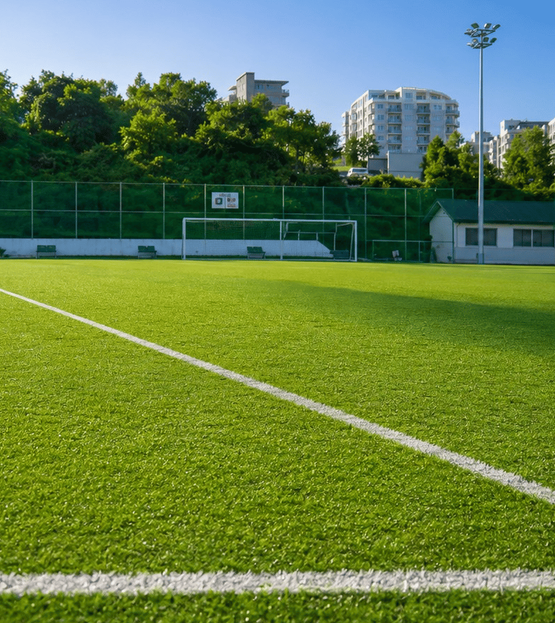 Outdoor sports at Modirealty Ashvattha & Acacia, Dahisar East