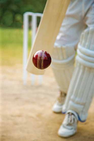 Cricket pitch at Lokhandwala Minerva, Worli