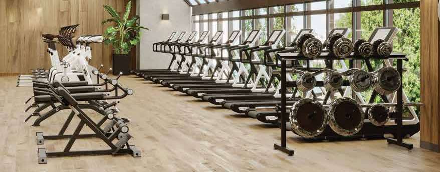 Gym at Kalpataru One, Worli