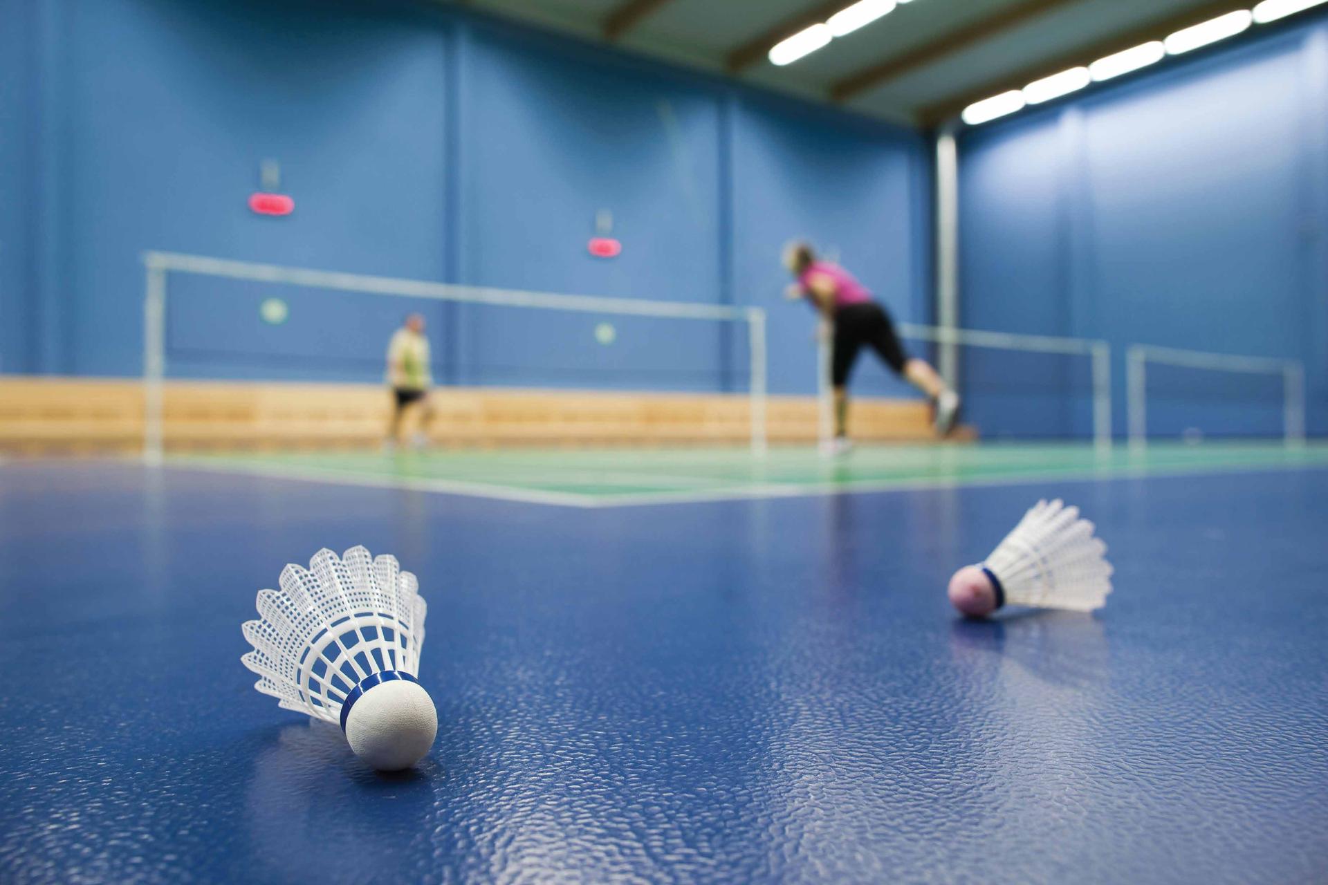 Badminton court at Godrej Horizon, Wadala